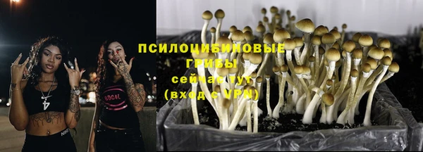 винт Покачи